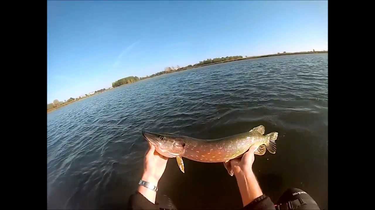 A-Catch i flydering - spinnefiskeri efter gedder (Oktober 2013)
