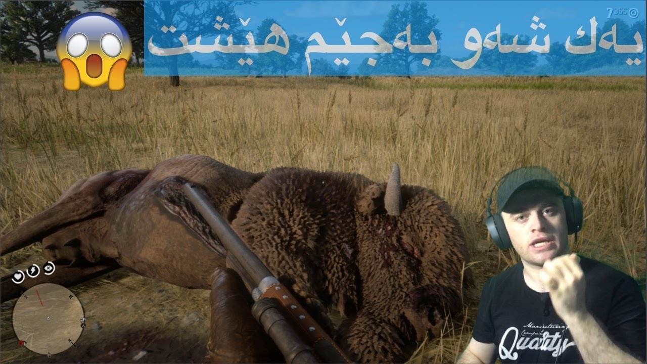 گامێشێكی ڕه‌شم ڕاوكرد و یه‌ك شه‌و به‌جێم هێشت بزانه‌ چی لێهات 😨