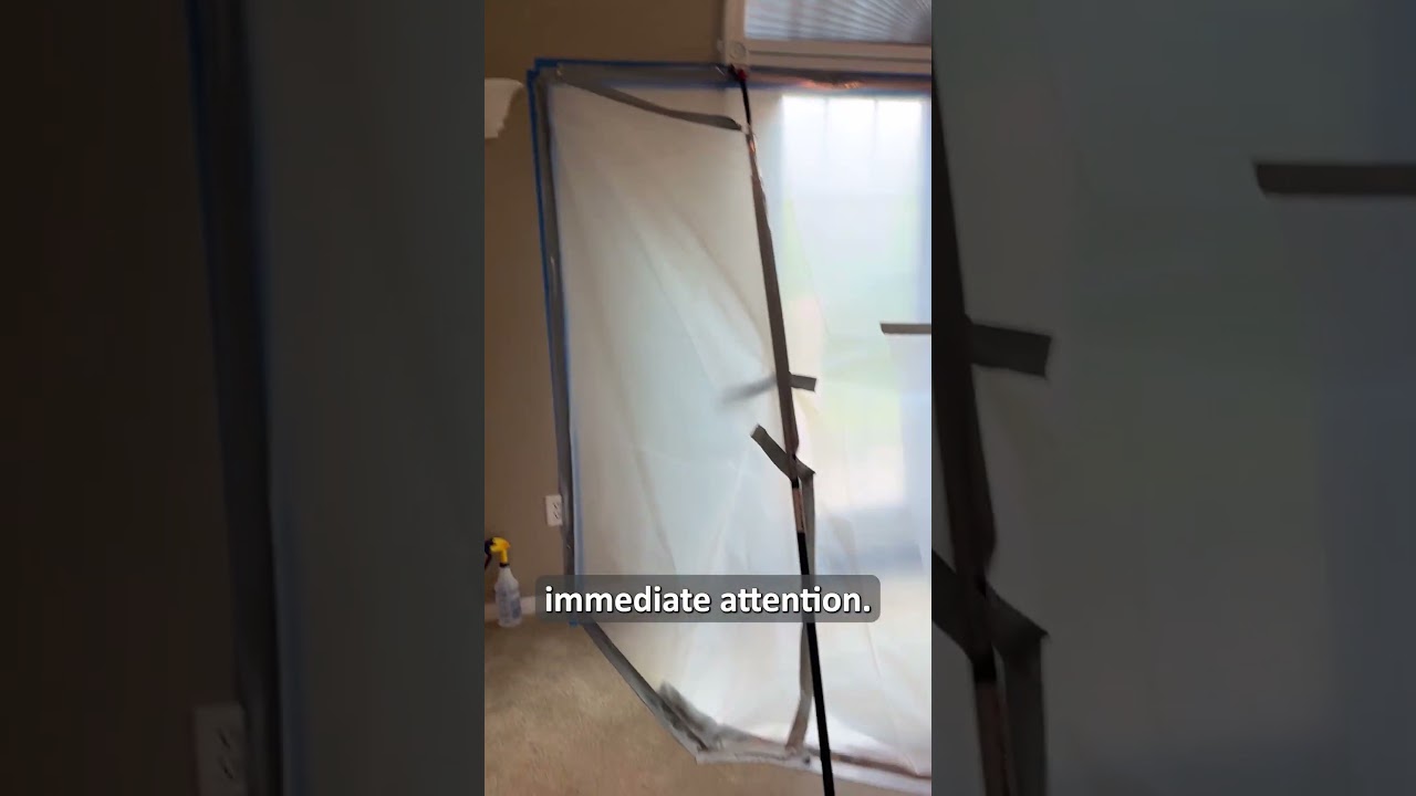How To Safely Remove Mold From Your Living Space