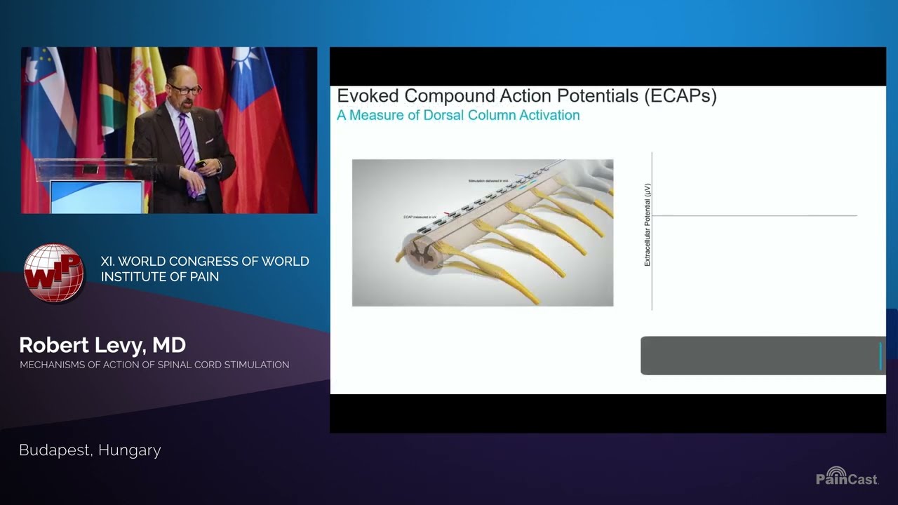 Robert Levy, MD, Ph.D:  Mechanisms of Acting of Spinal Cord Stimulation
