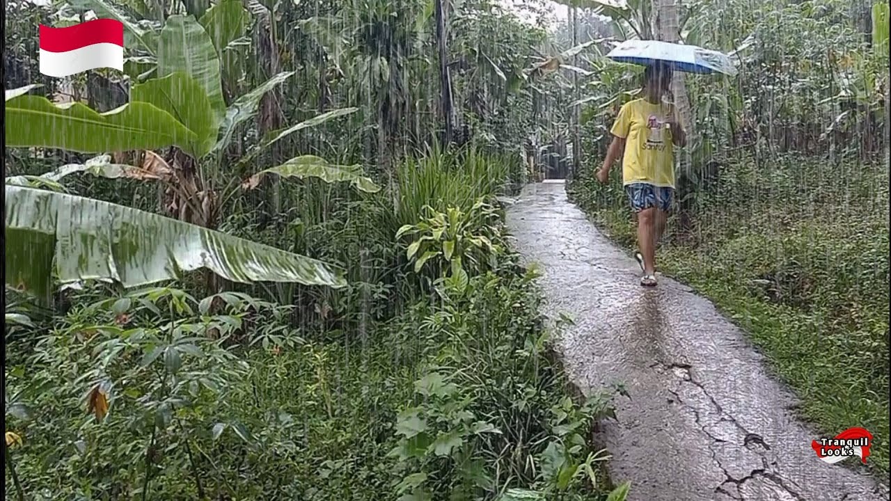 Not Many People Know... This Is How Beautiful Rain Is In Ciwalung, Ciamis, Indonesia!