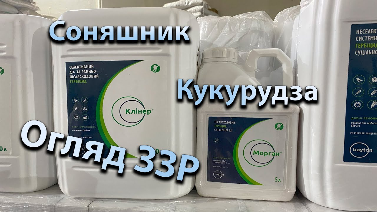 Огляд засобів захисту: Клінер (прометрін 500) Морган (мезотріон 100 + нікосульфурон 45) Баклер Форте