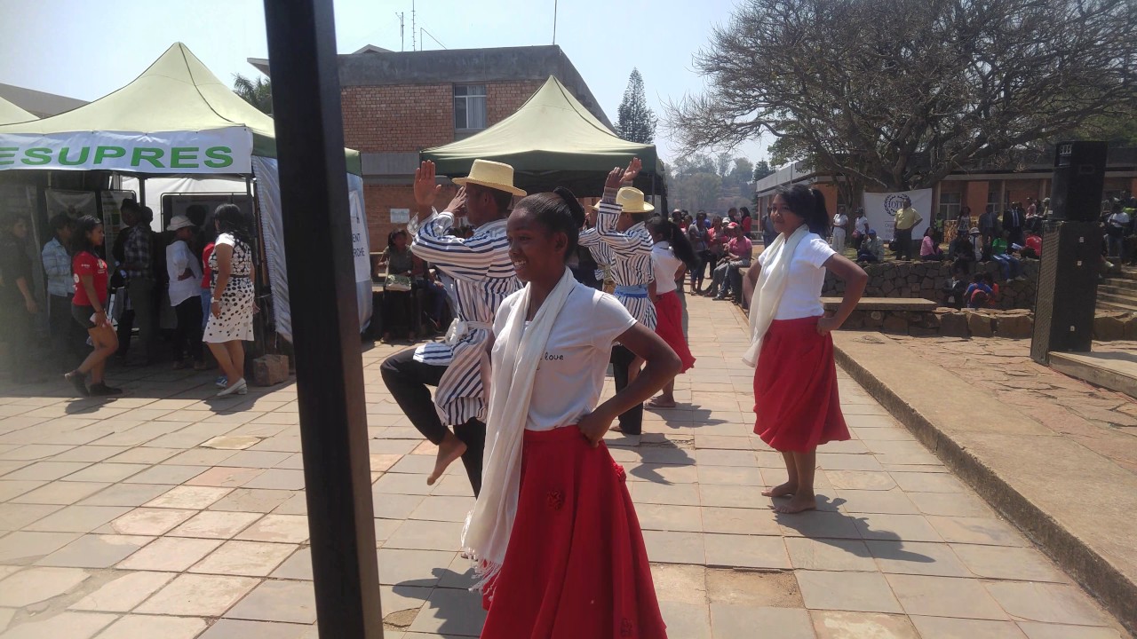 Danse folklorique  malgache 2016102
