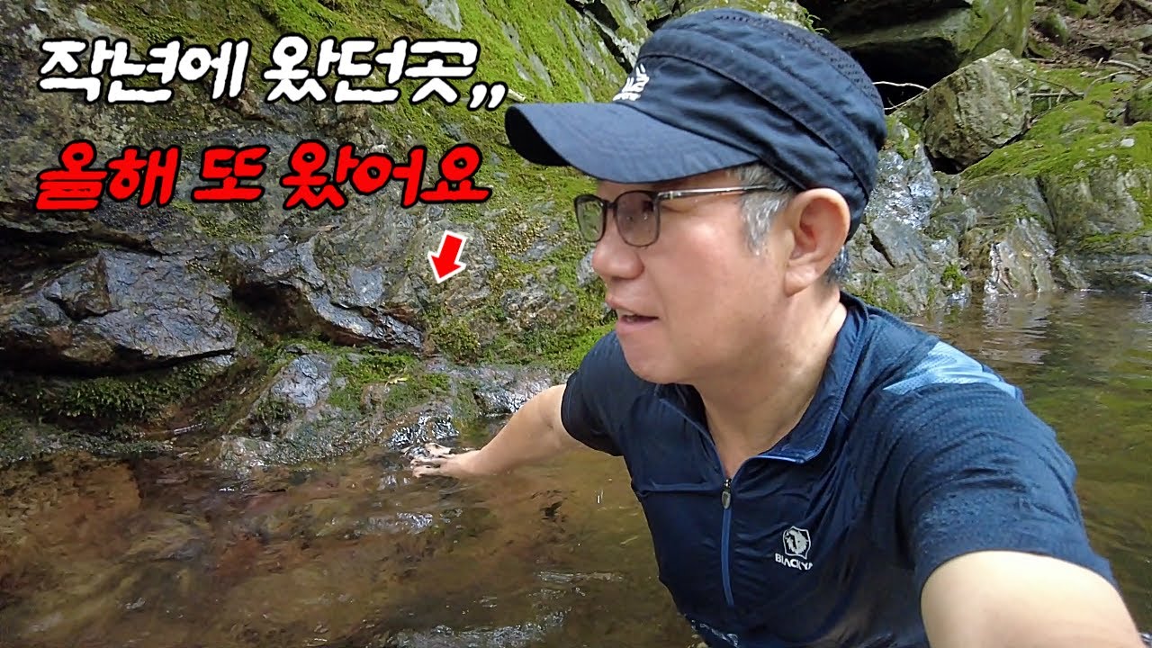 여름 두달간 한시적 개방 * 당일치기 계곡여행 *
