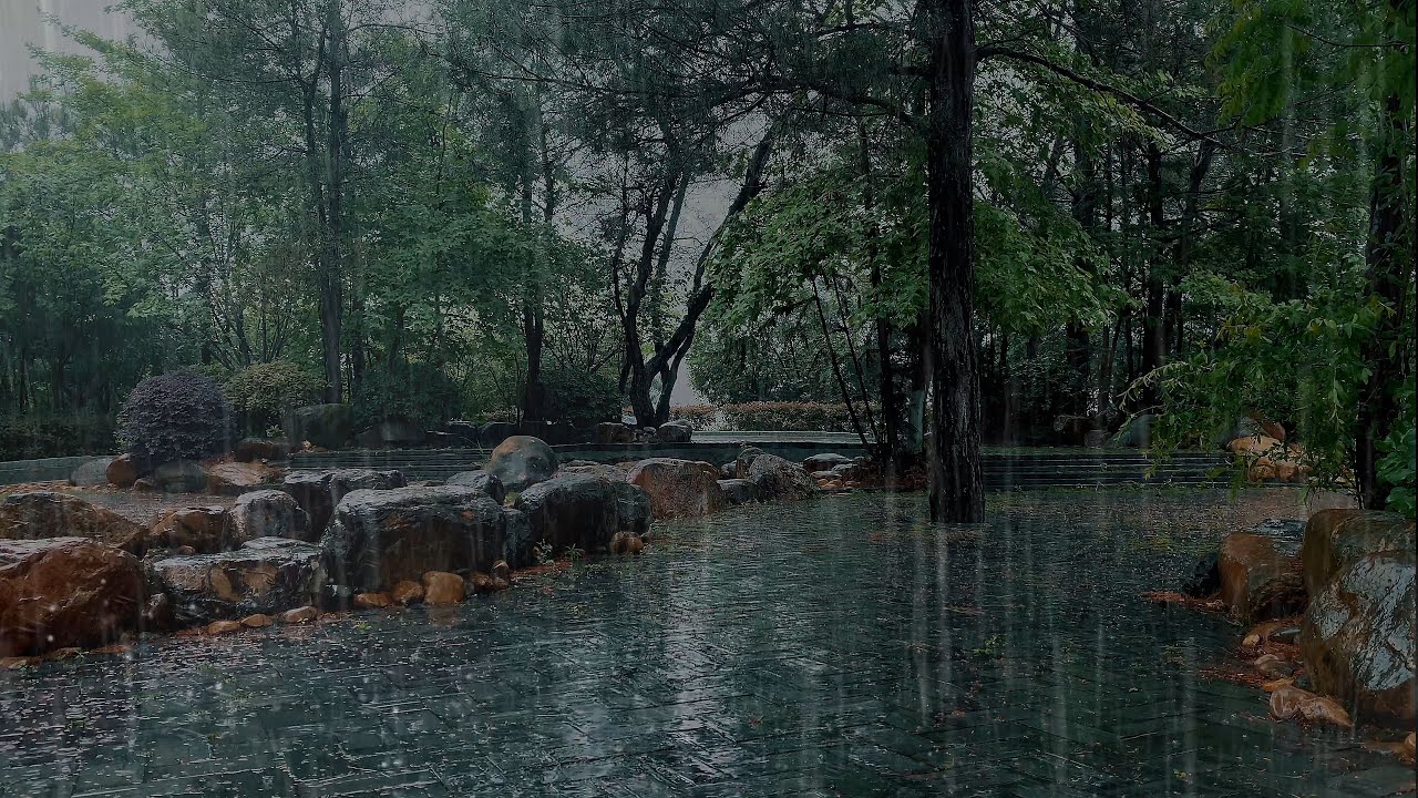 🔴睡不著？來聽雨吧！十秒鐘讓你打瞌睡！舒緩輕柔的細雨聲助睡眠，大自然的聲音治愈失眠健忘，焦慮症，抑鬱症，神經衰弱，冥想，工作，PTSD，耳鳴，工作，阿爾茨海默氏症，白噪音，集中註意力，gentle