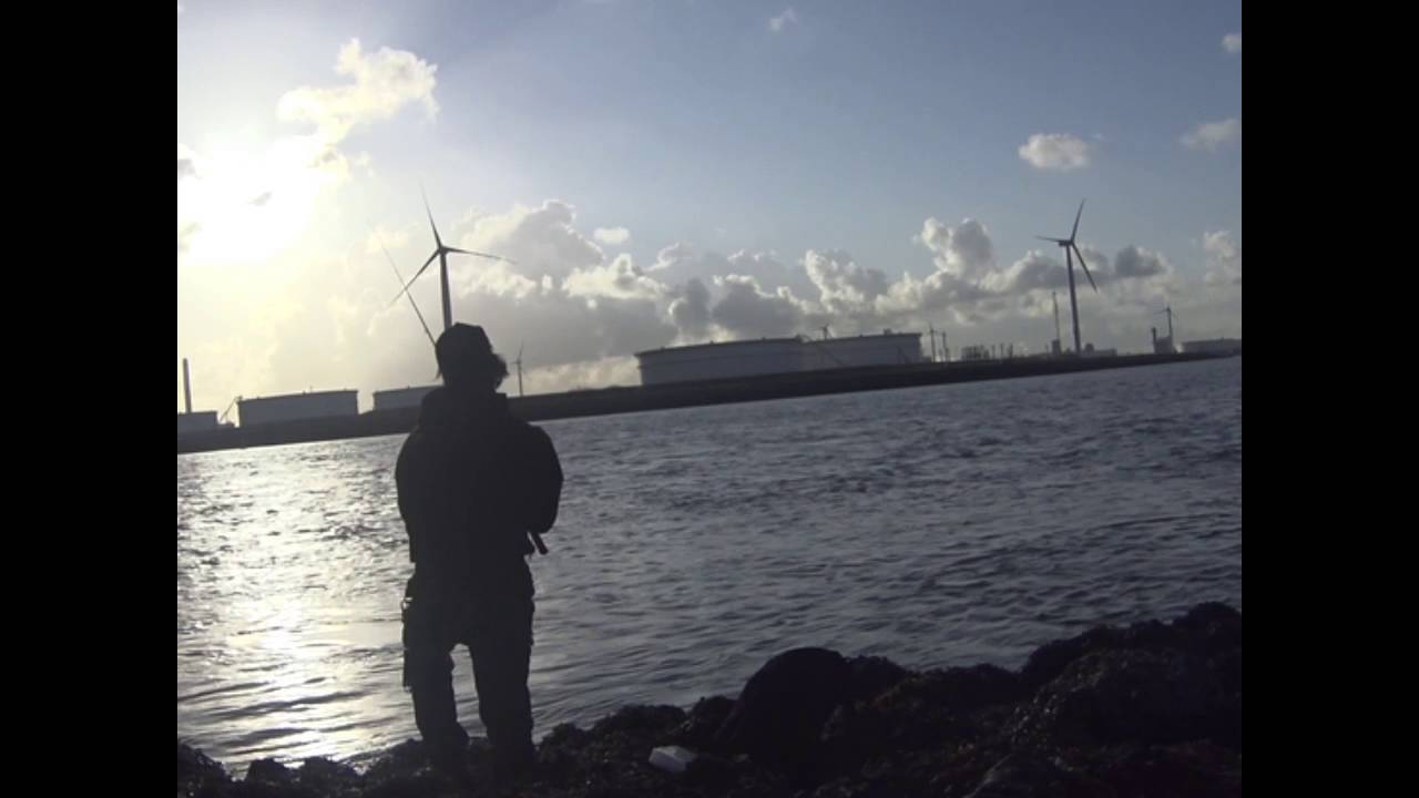 De vis die de dans ontsprong | vlog Mehmet Büyükyilmaz