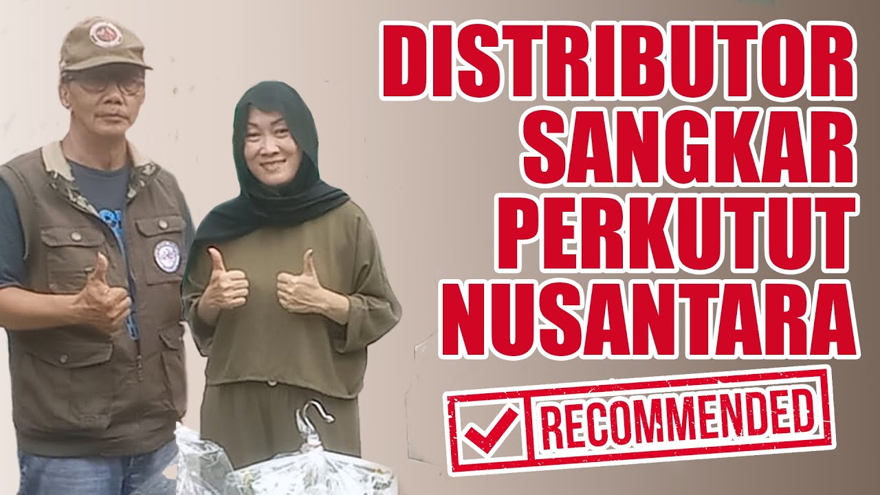 Distributor Sangkar Perkutut Nusantara - Irma Sangkar Rekomendasi Para Kung Mania