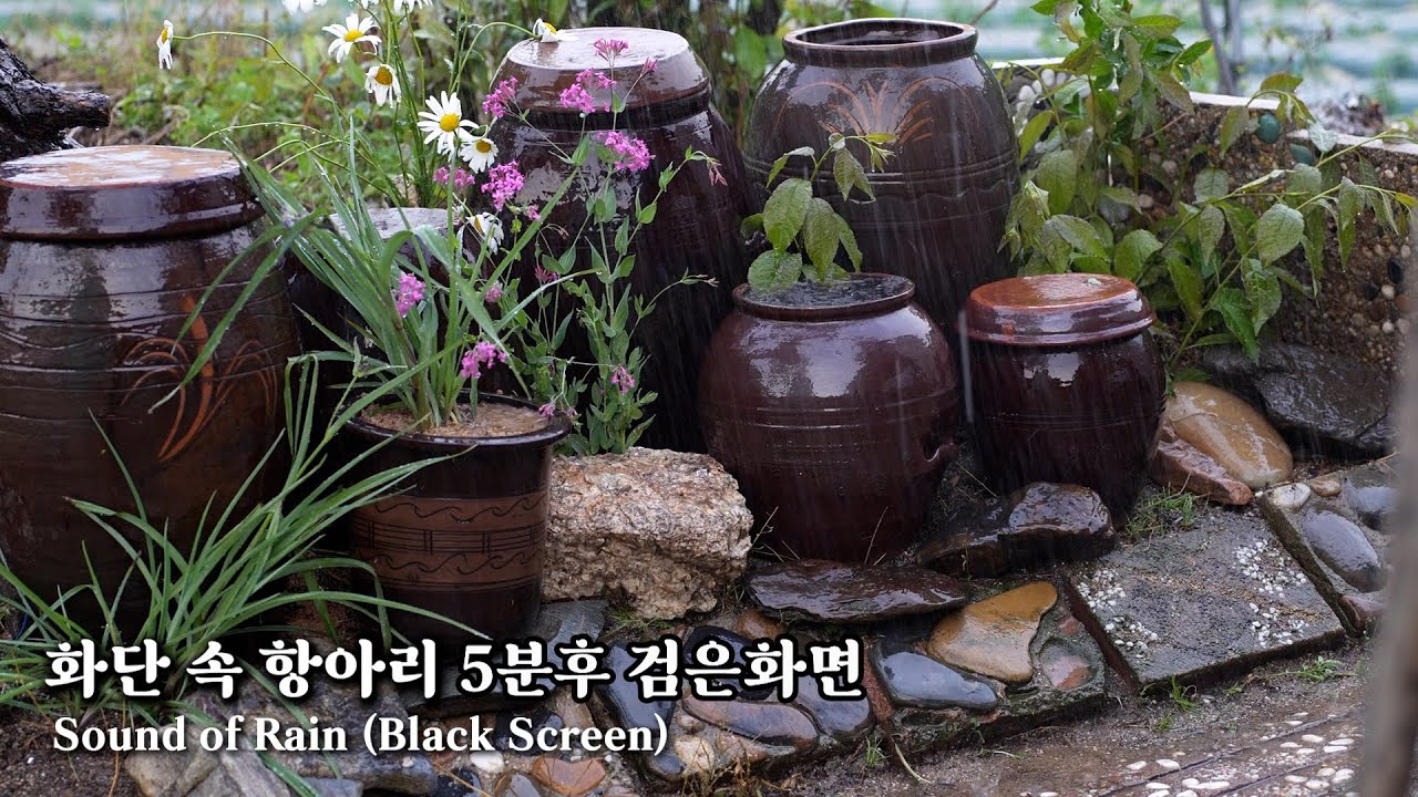화단속 항아리 5분후 검은화면 Flowerbed pot black screen after 5 minutes