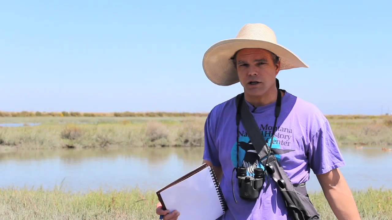 Nature Kids Clip: John Muir Laws