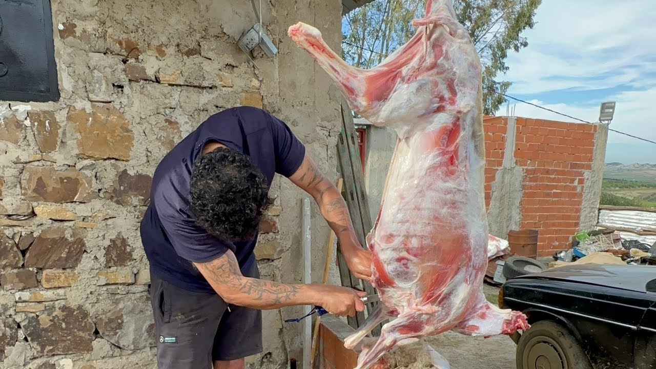 LIVE - BILAL AKKAD JDID A DRARI AJIW TCHOUFO CHENO WA9A3 FIH