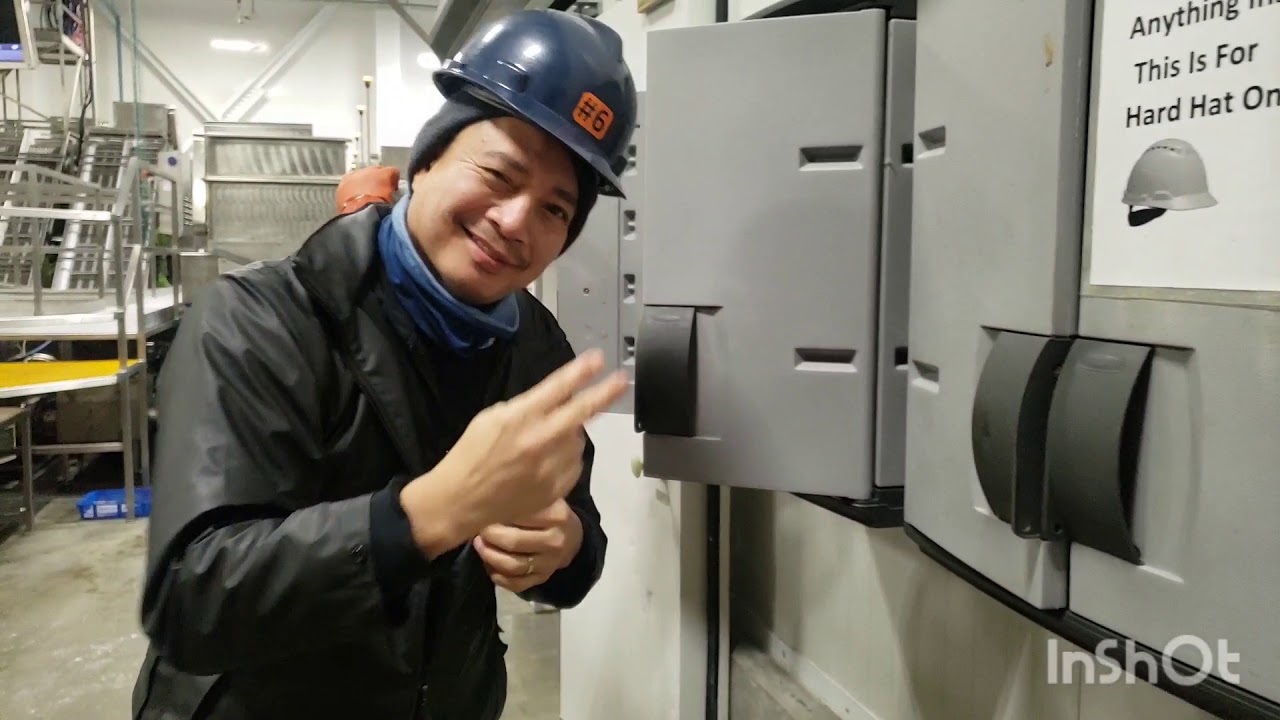 working in alaska (fish processing plant)