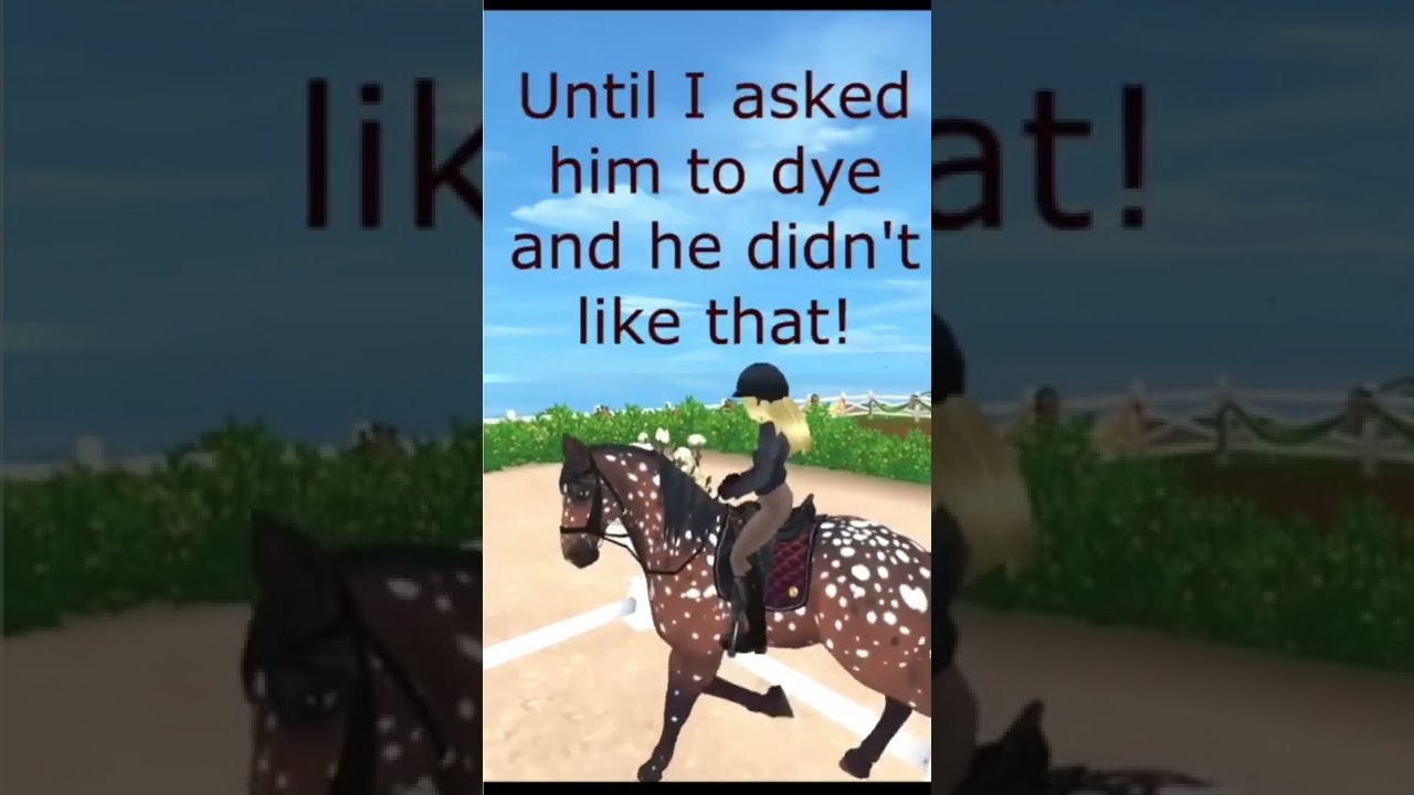 The Dressage Horse {2} #starstable #sso #horses #knabstrupper #realisticroleplay #dressage