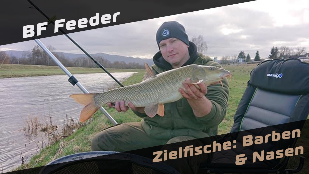 Bait Fabrik Feeder | #1