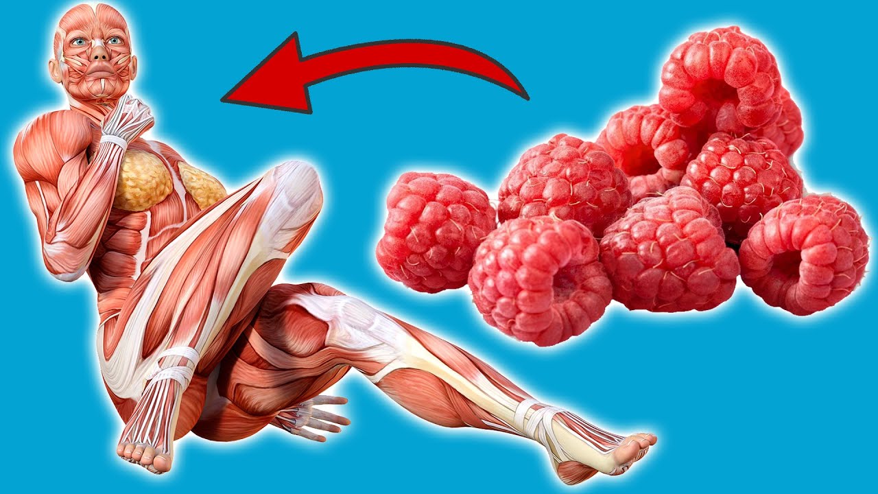DAS passiert mit deinem Körper, wenn du jeden Tag Himbeeren isst 💥
