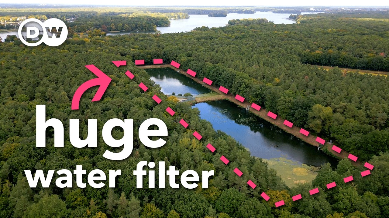 The simple idea that could save our groundwater
