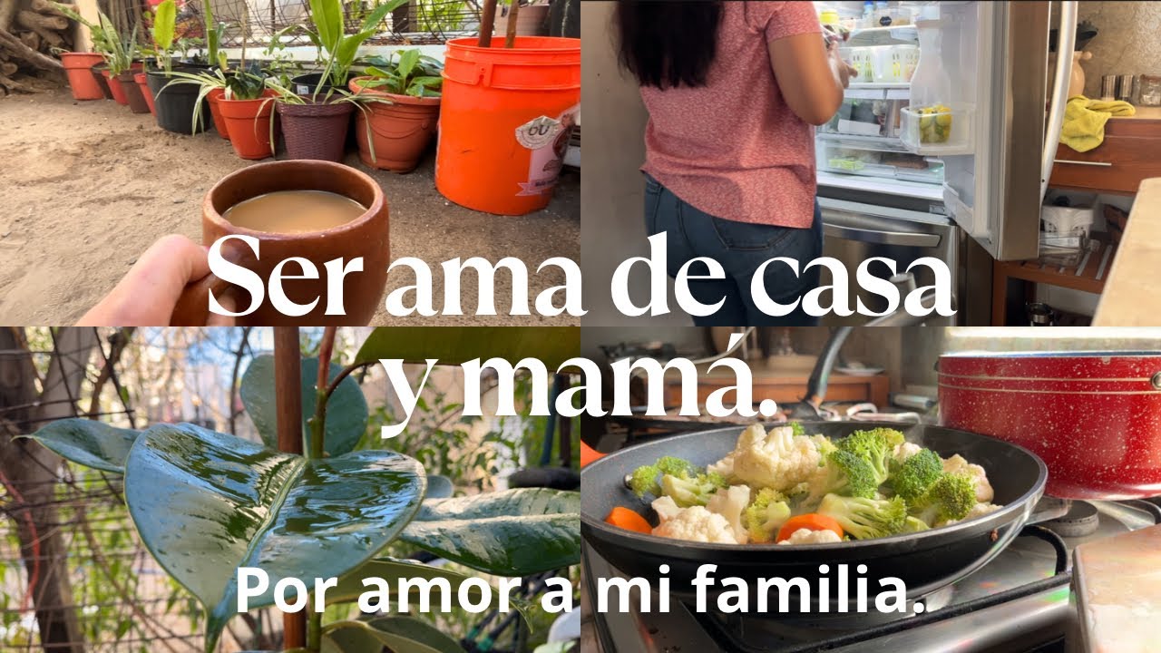 Vida diaria de una ama de casa.