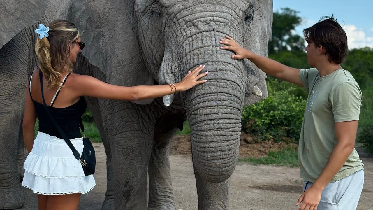 A Week In Zimbabwe