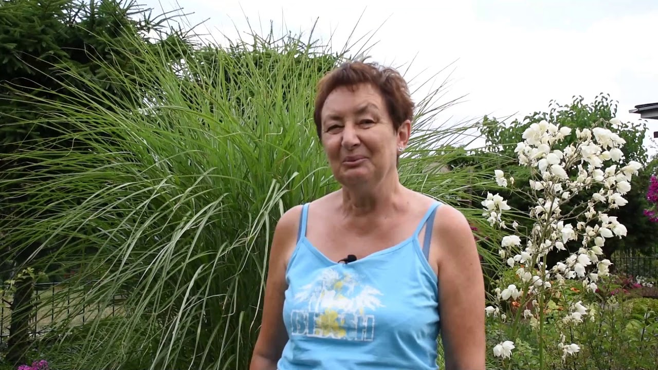 ROD Oaza, Aleksandrów Kuj