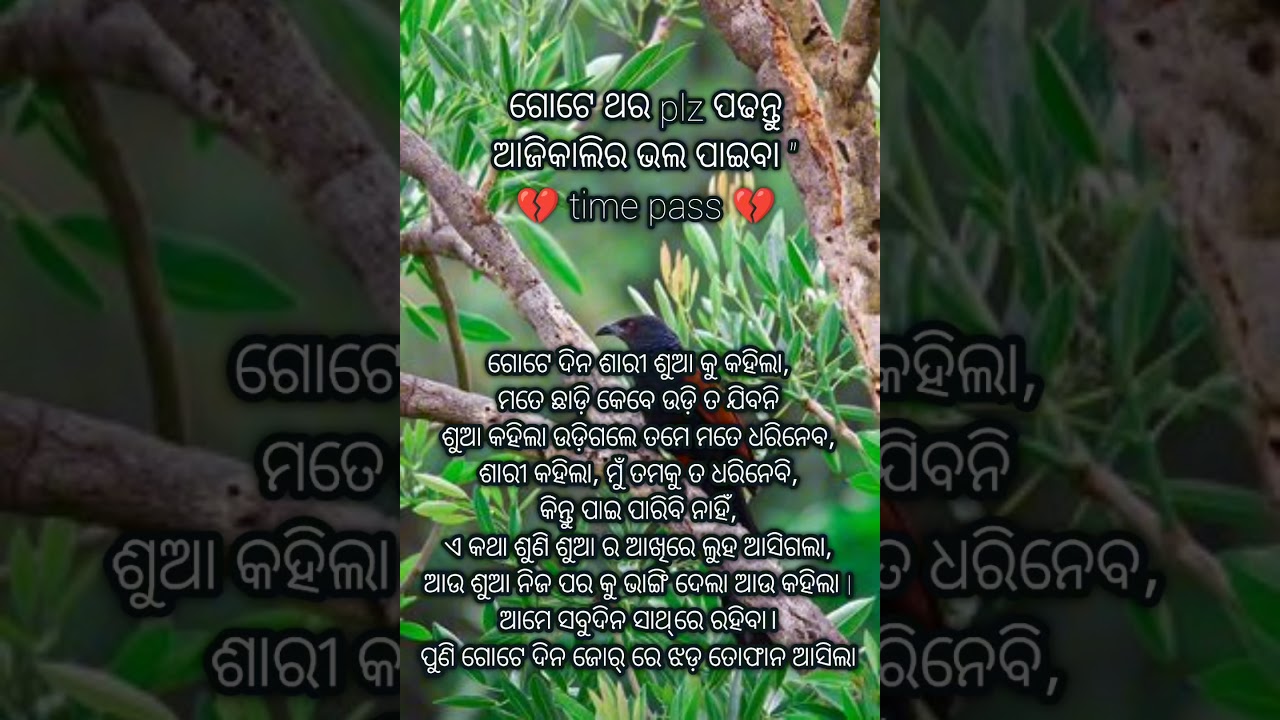#bestodiamotivation #motivationalvideo | odia motivational video | @akashentertainment5485