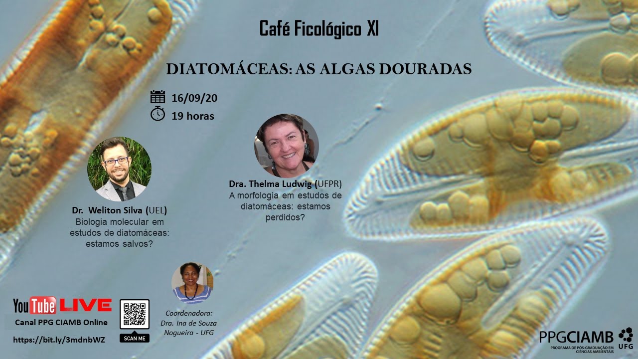 CAFÉ FICOLOGICO XI - Diatomáceas: as Algas Douradas