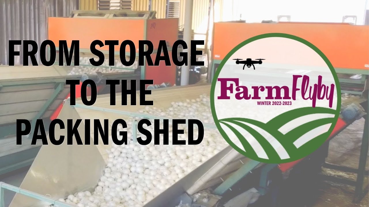 Farm Flyby- Transferring Onions from Storage to the Packing Shed