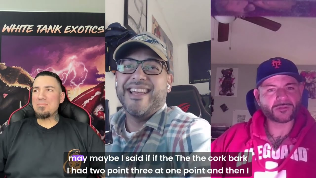 whitetanks exotics / A... Magic Episode | Feb 13, 2026