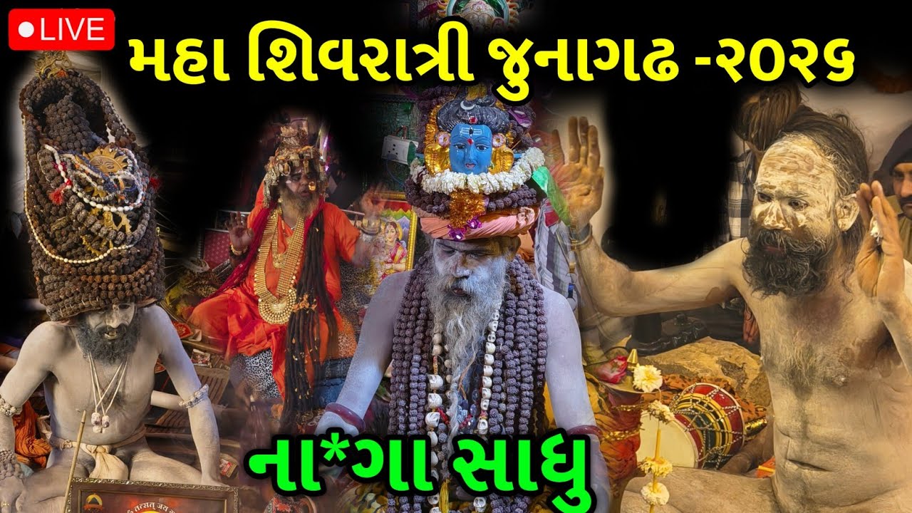 શિવરાત્રીમાં બધા નાગા સાધુઓના દર્શન એકજ વીડીયોમાં  | Maha Shivratri Mela 2026 
