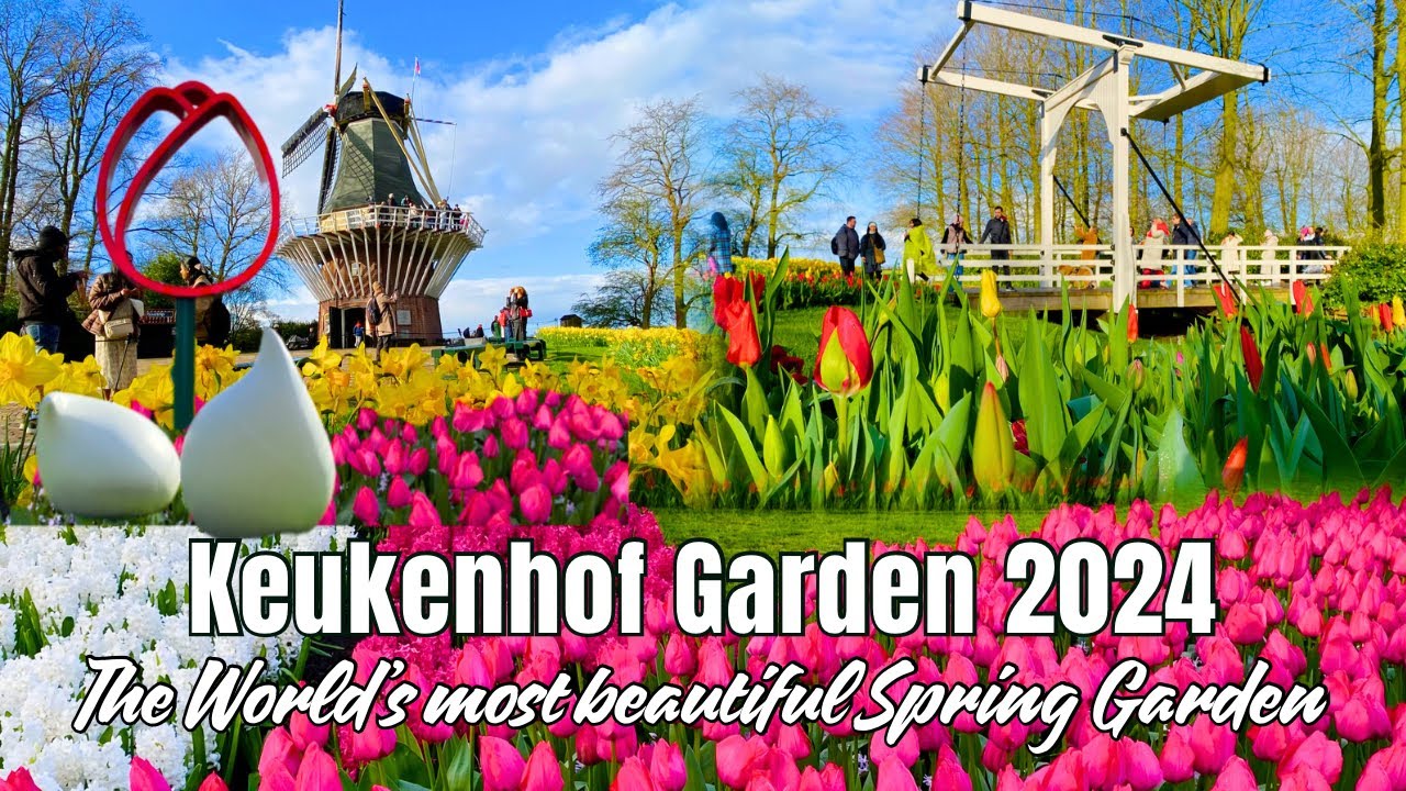 🌷 KEUKENHOF GARDEN 2024 - The World’s Most Beautiful Spring Garden of 7 Million Flowers Guided Tour