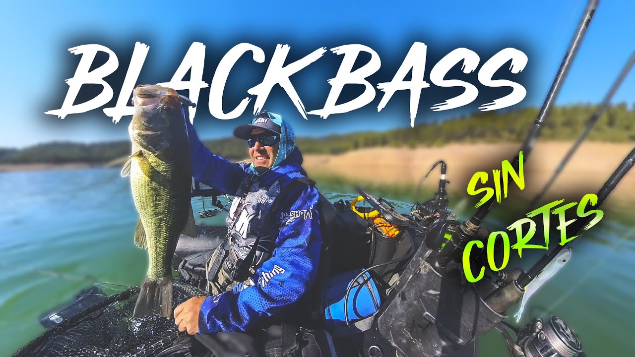 Blackbass sin cortes  R SHAD 100