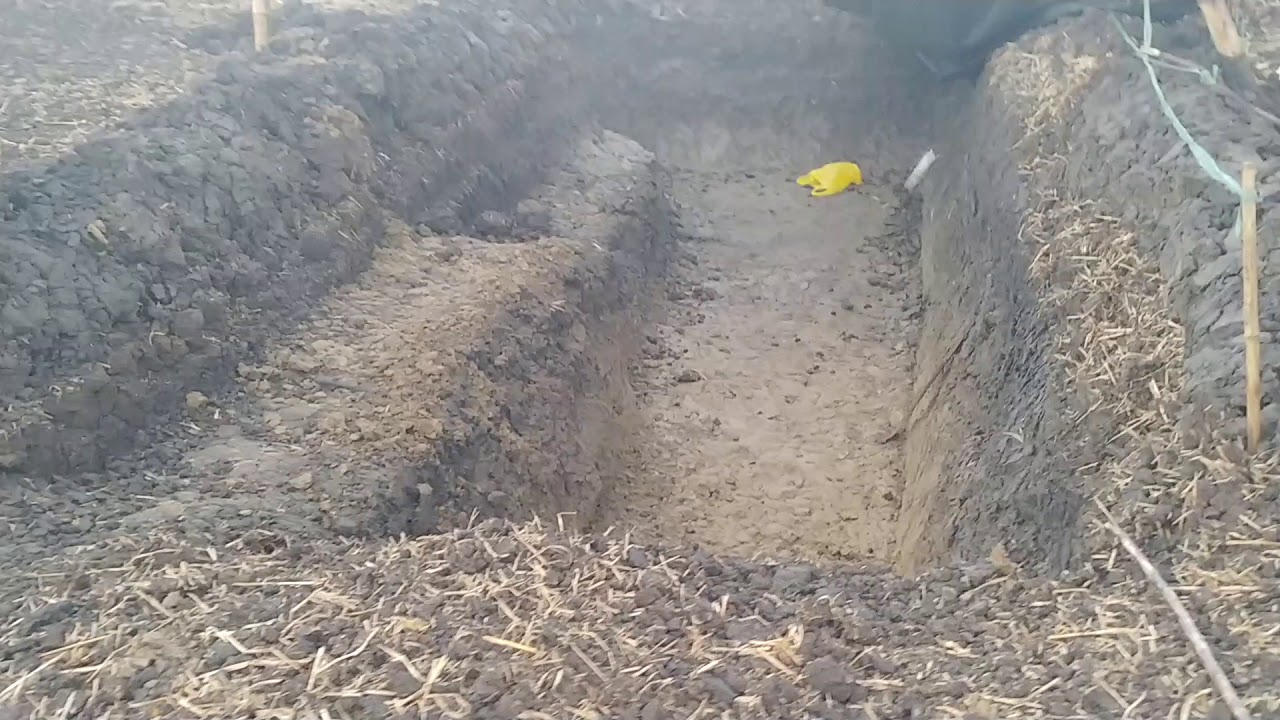 Aspire Farm Oasis 2020.04.23
