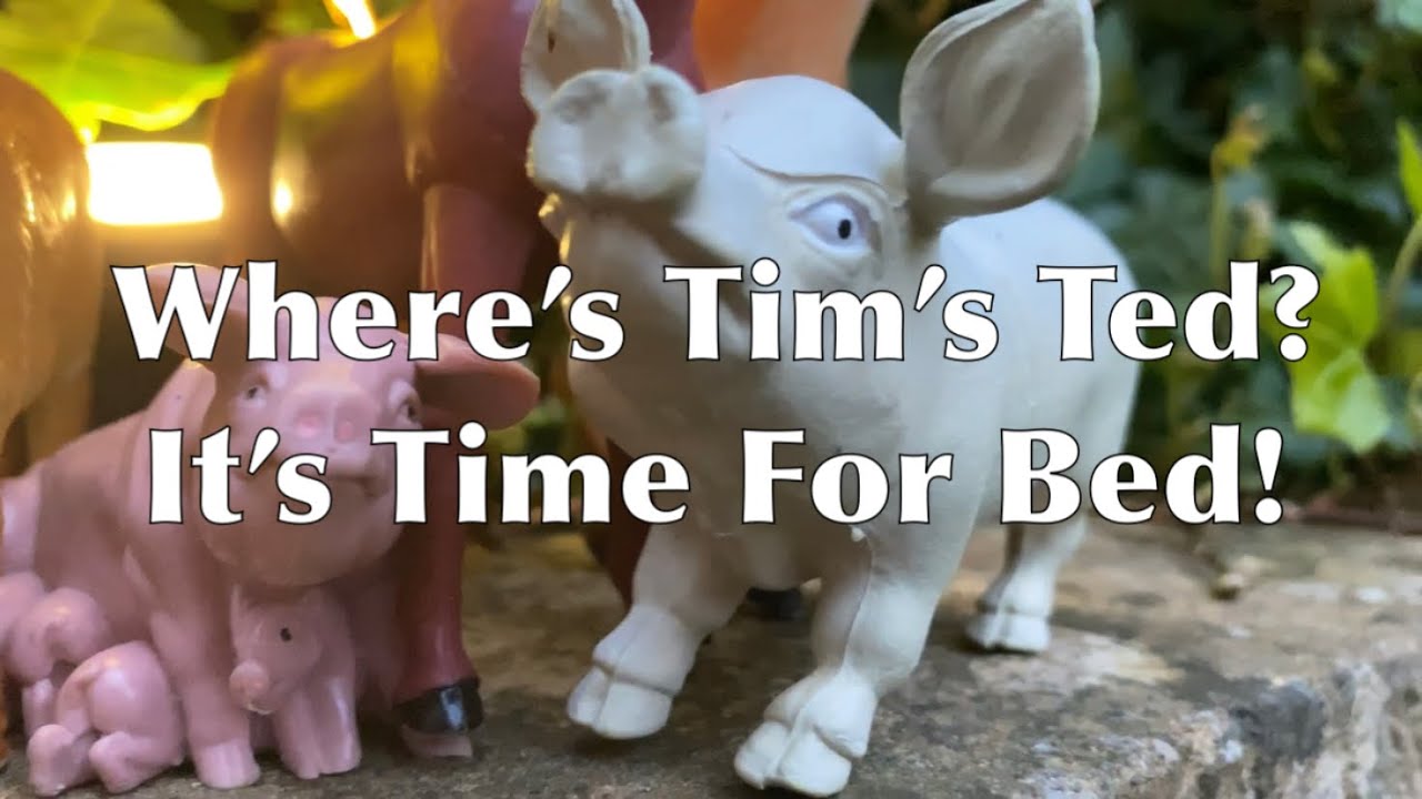Super Shed Stories: Where's Tim's Ted it's Time for Bed!