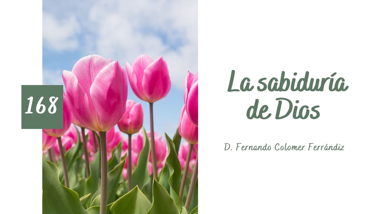 168. La sabiduría de Dios