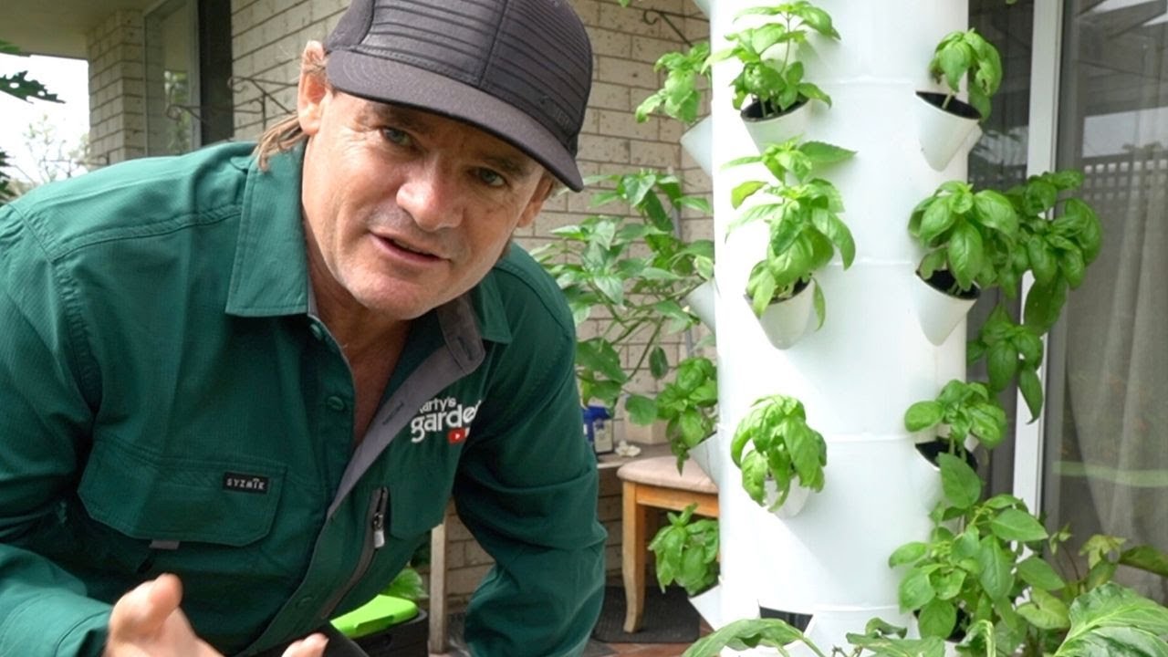 Airgarden Aeroponics Herb Gardening Meets the Future