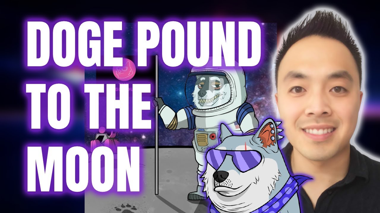 Doge Pound Bullish Road Map! + Exploring The Fantom Ecosystem / How To Buy FTM And Swap