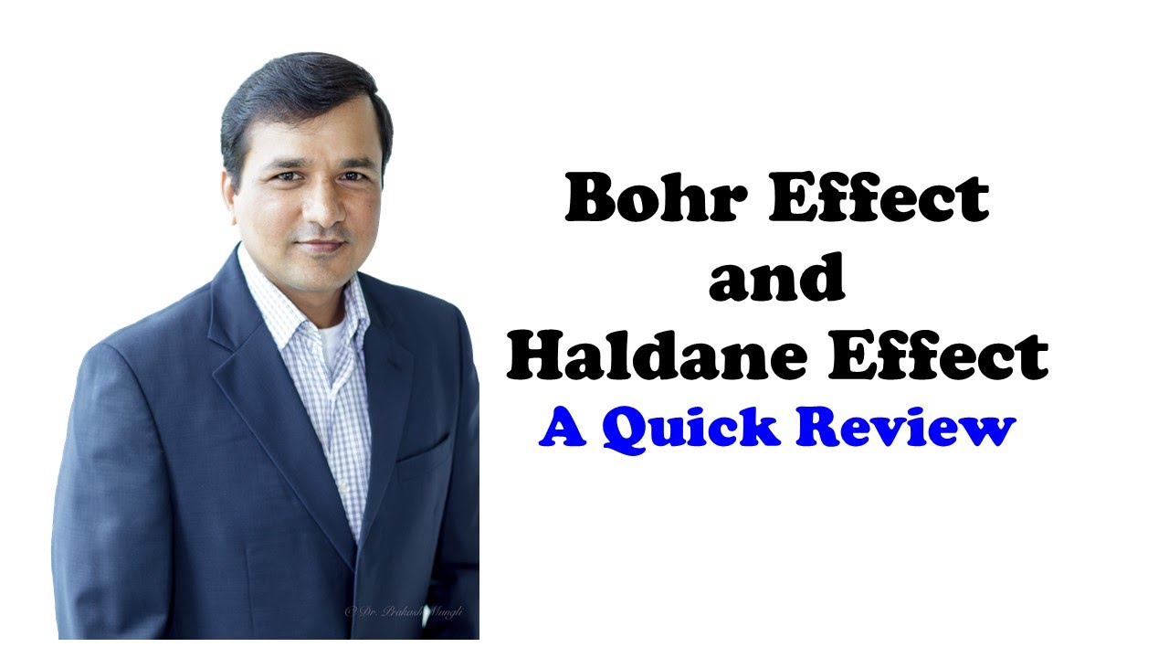 Bohr Effect and Haldane Effect