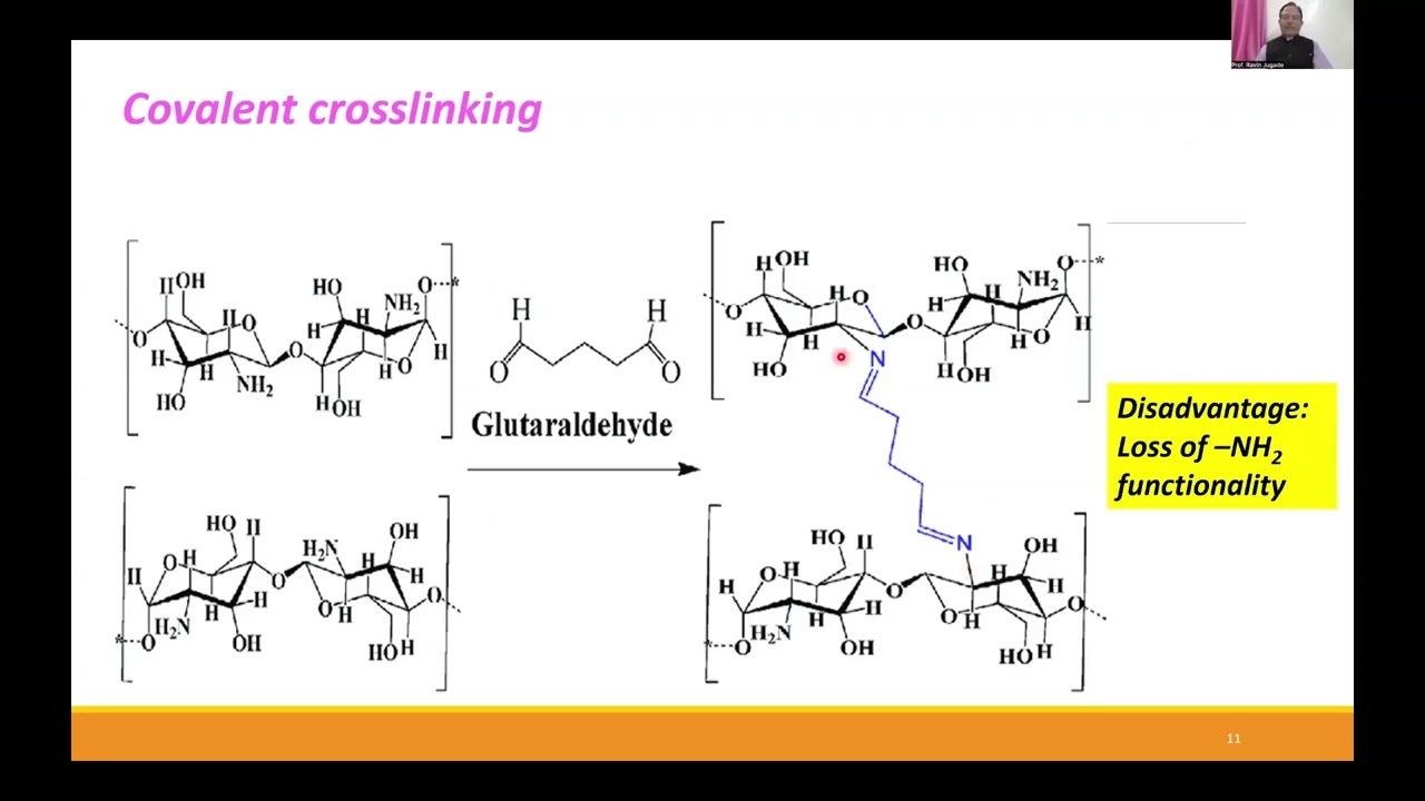 Water Detoxification Using Physical & Chemical Engineered Chitosan Biopolymer, Prof. Ravin Jugade