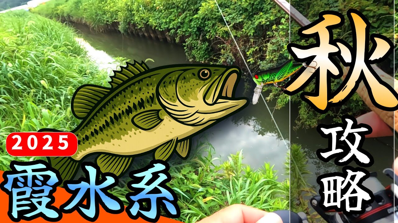 【バス釣り】【霞ヶ浦】この手のルアーで狙えば楽に釣れてしまう