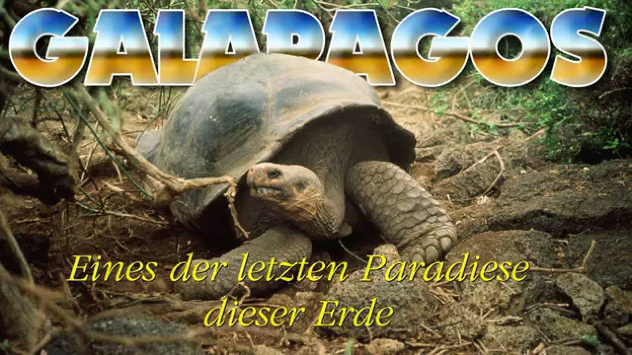 Naturparadies Galapagos-Inseln