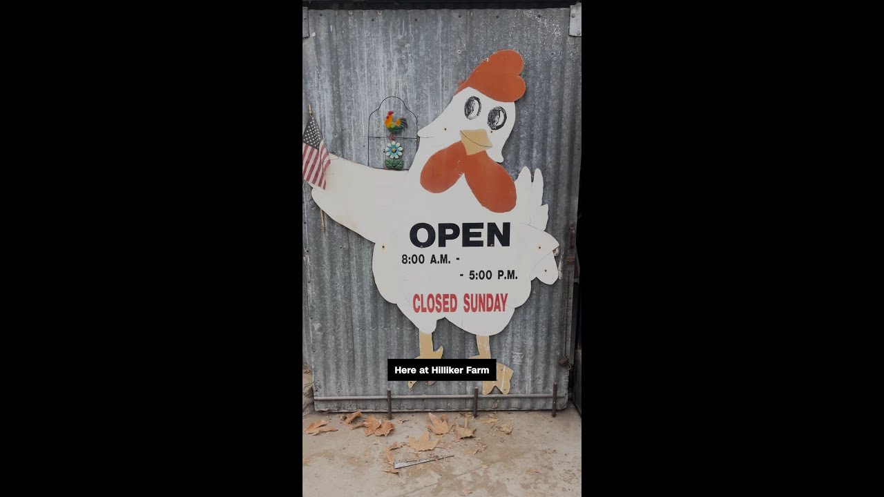 Bird flu has people flocking to egg deals
