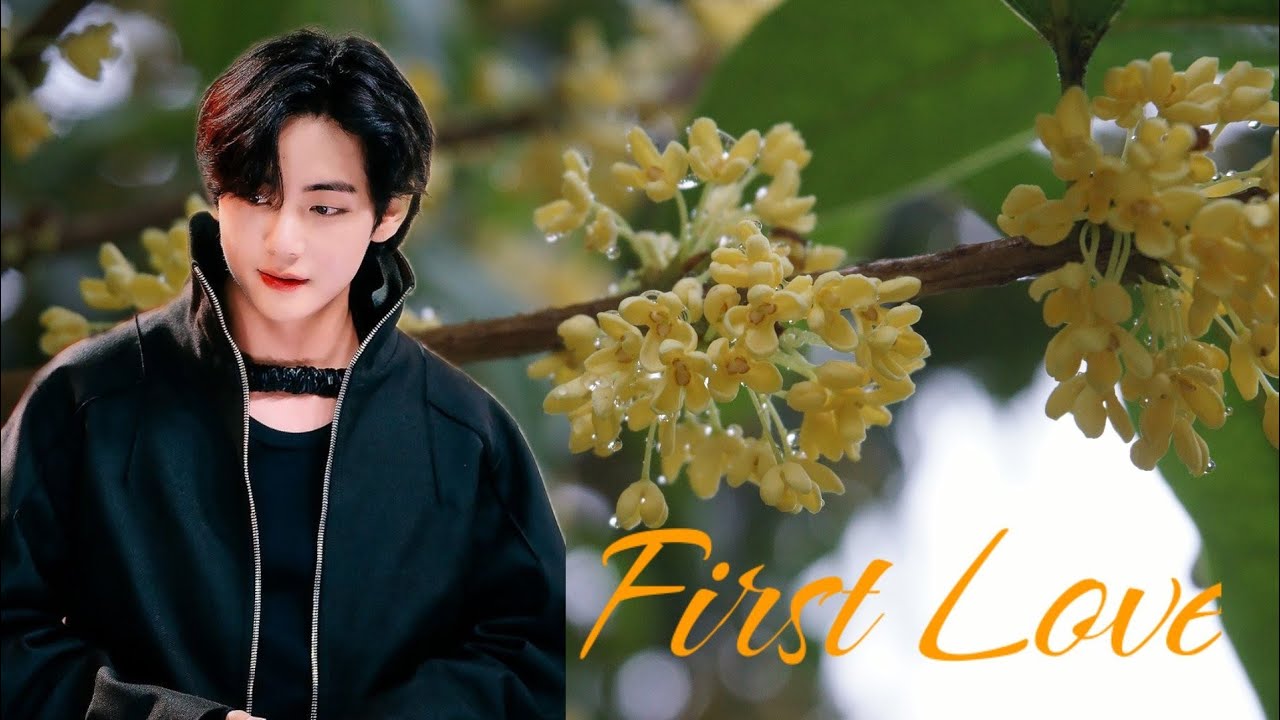 First Love (final)#bts妄想 #テヒョン妄想