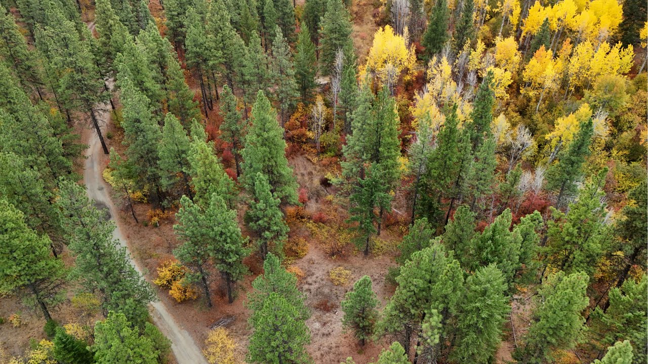 Off to a fall drive - FS 7300 RD