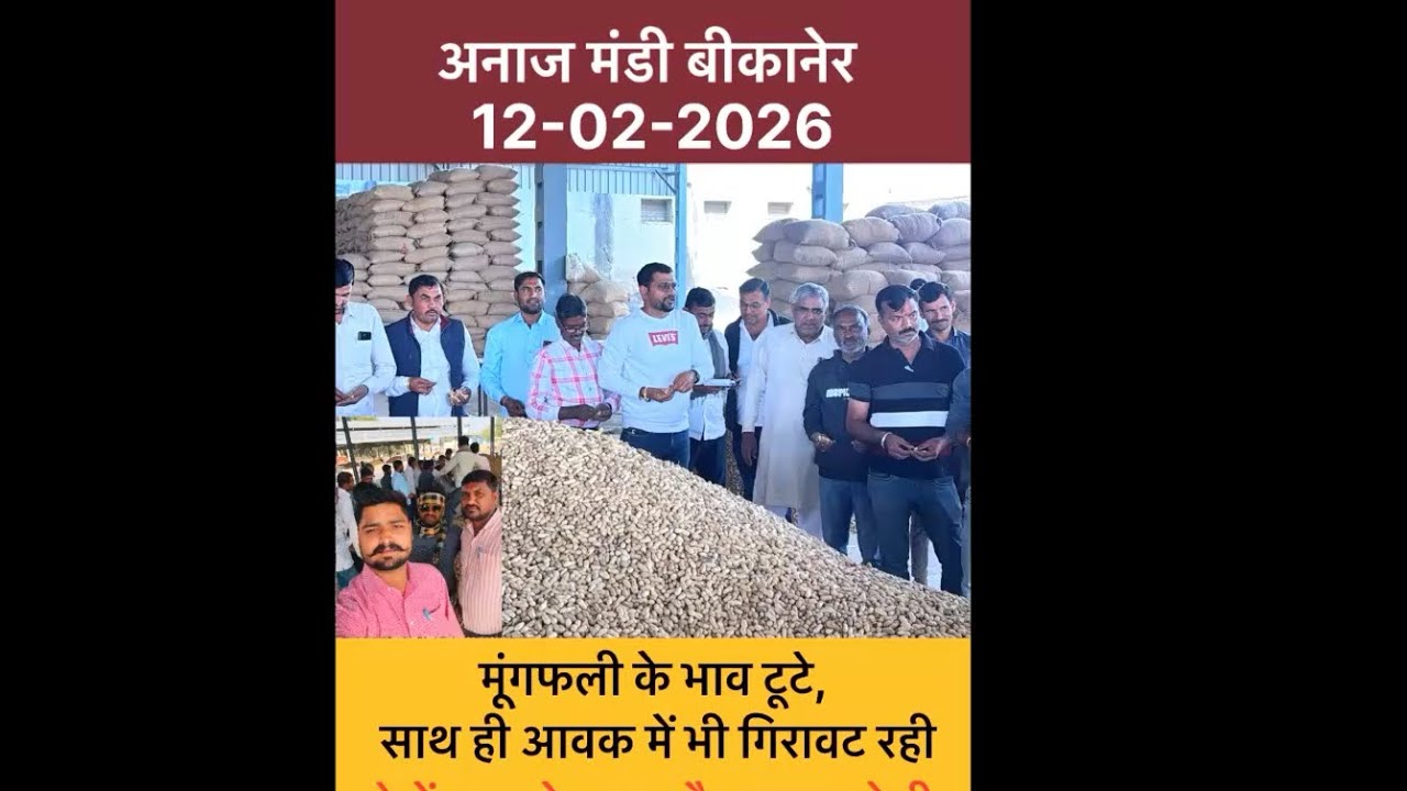 बीकानेर मंडी ताज़ा भाव:मूंगफली सहित सभी फसलों का अपडेट 🌾📊#mungfali #peanuts #bikanermandi #aapnobhav
