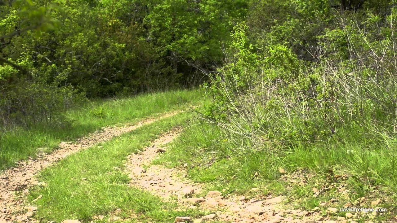 video de DAVID FRÉTIGNÉ avec YAMAHA 1200 XTZ worldcrosser