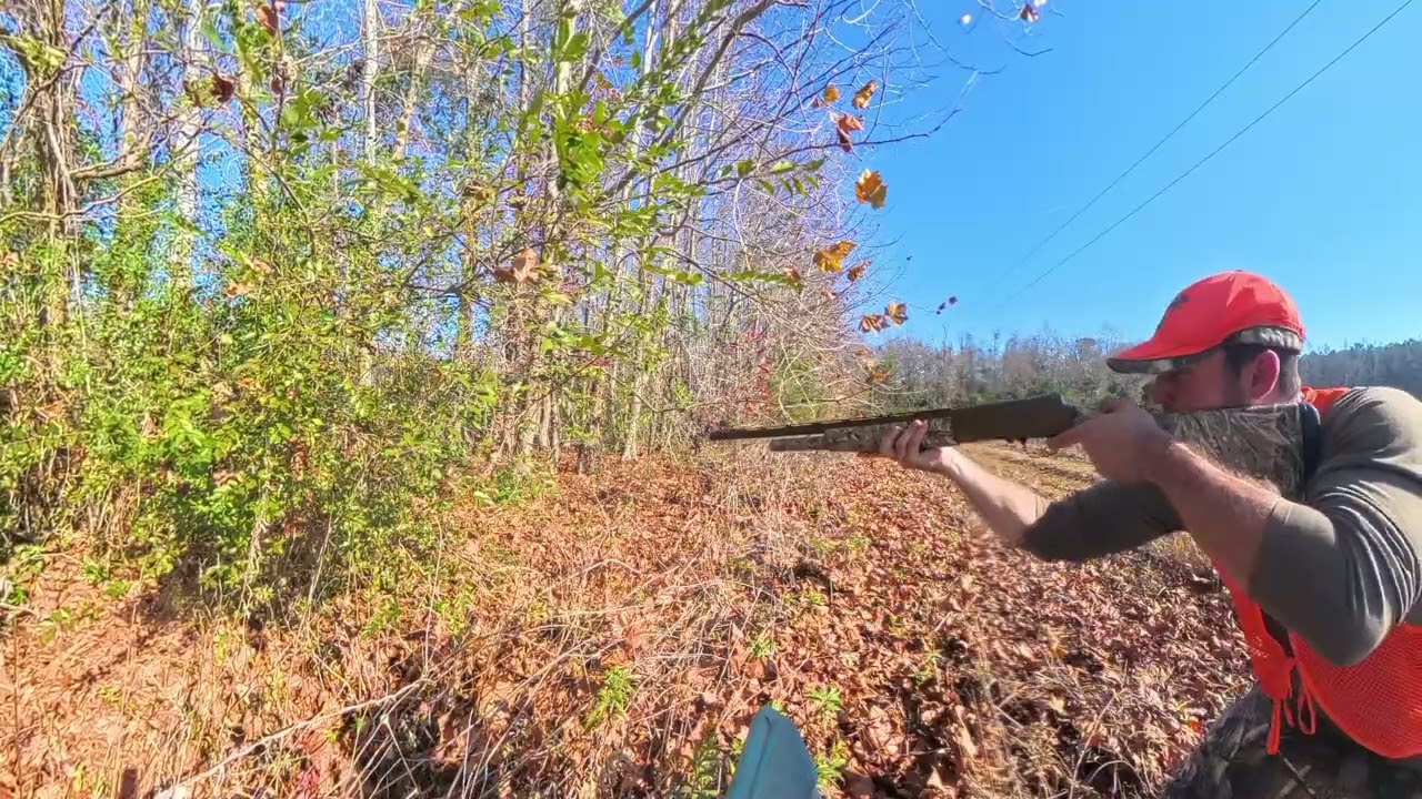 Dog Drive (action) 12/13/25 (watch till end)