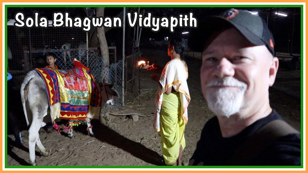 Holy Cow Blessing Ceremony At Sola Bhagwat Vidyapith Temple In Ahmedabad Gujarat 🛕 Authentic India