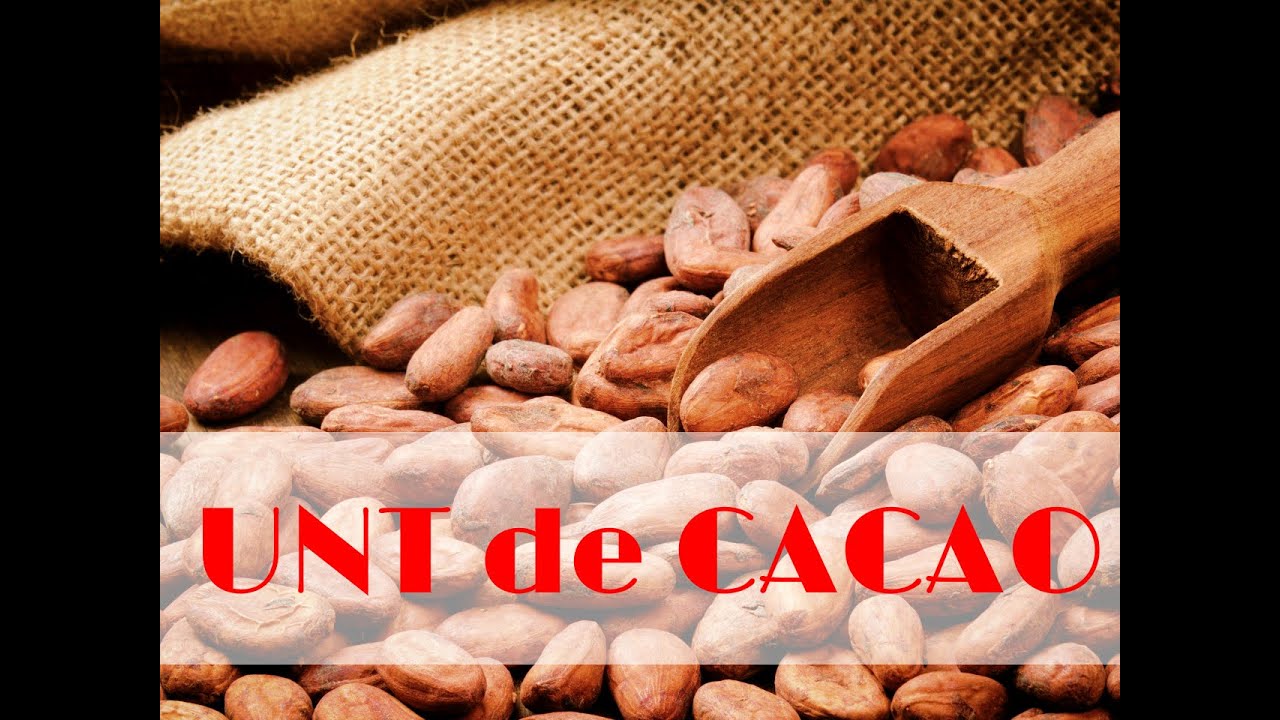 Unt de Cacao Moldova