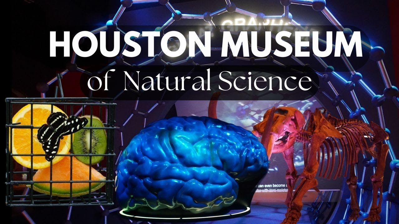 Houston Museum of Natural Science | Experience & Learn from Main Exhibit & Cockrell Butterfly Center