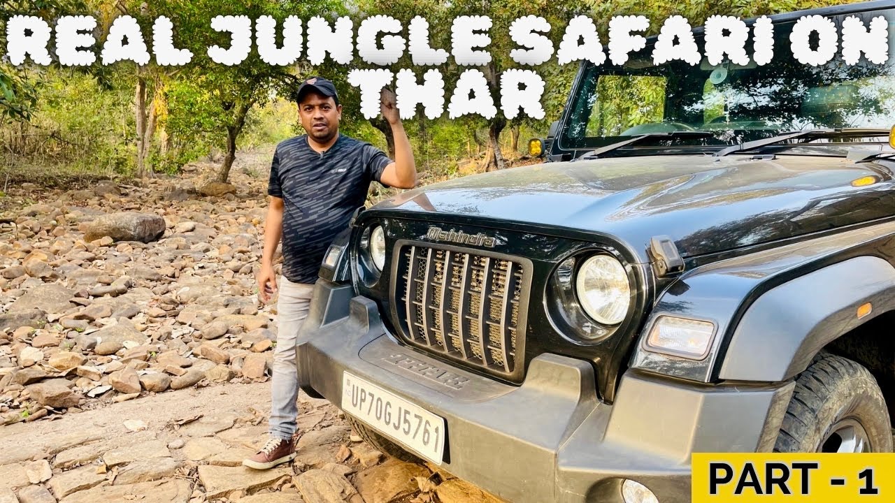 Ranipur Tiger Reserve Jungle Safari Chitrakoot | Jungle Safari | Manikpur Jungle 