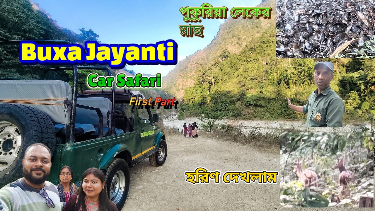 জয়েন্তিতে Car Safari।।জঙ্গলে হরিণ দেখলাম।। পুকুরিয়া লেক।।