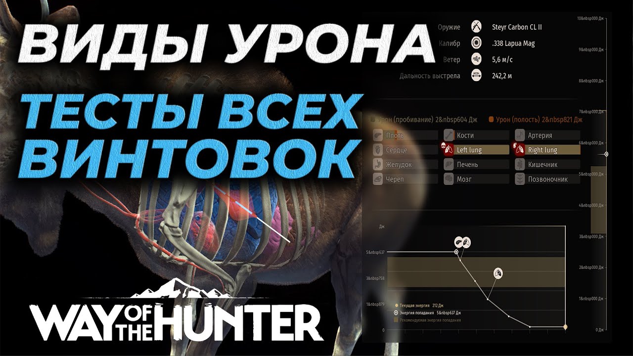 [ГАЙД] ВЫБОР ПАТРОНОВ, ВИДЫ УРОНА, ТЕСТЫ ВСЕХ ВИНТОВОК 🎮 Way of the Hunter